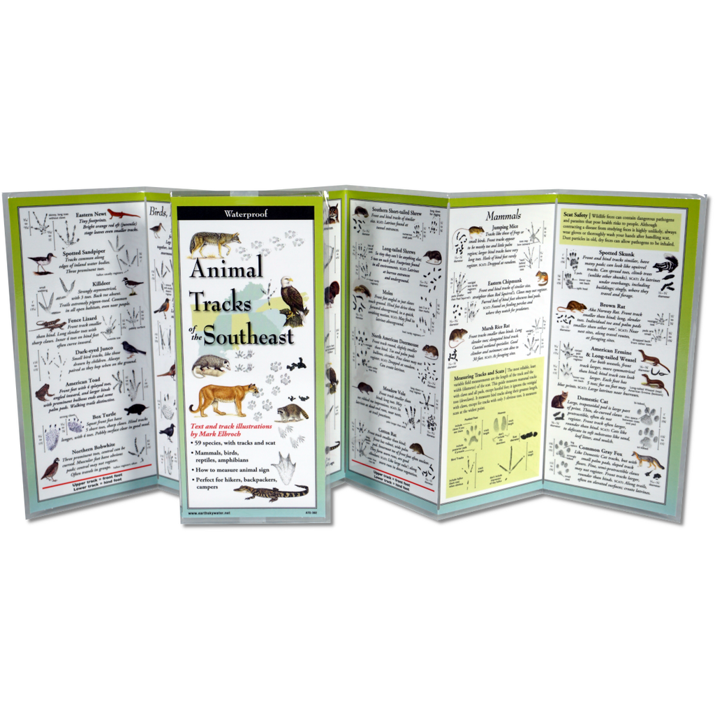 Waterproof Animal Tracks of the Southeast Booklet