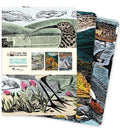Angela Harding: Wildlife Set of 3 Midi Notebooks by