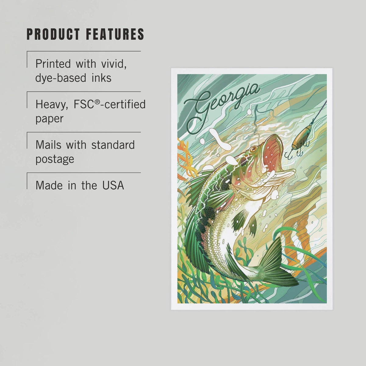 PREMIUM POSTCARDS Georgia, Fish All Day, Bass