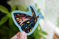 Small Be Set Free Butterfly Sticker